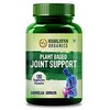 Himalayan Organics Plant Based Joint Support Supplement with Boswellia, Turmeric, Moringa & Alfalfa Joint Pain Supplement (120 Pills)