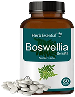 Boswellia Serrata Vegetarian Capsule (60 Pills)