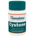 Himalaya Cystone naturally prevents crystal formation in urinary tract (60 Pills)