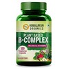 Himalayan Organics Plant Based B Complex Vitamins B12, B1, B3, B2, B9 (120 Pills)